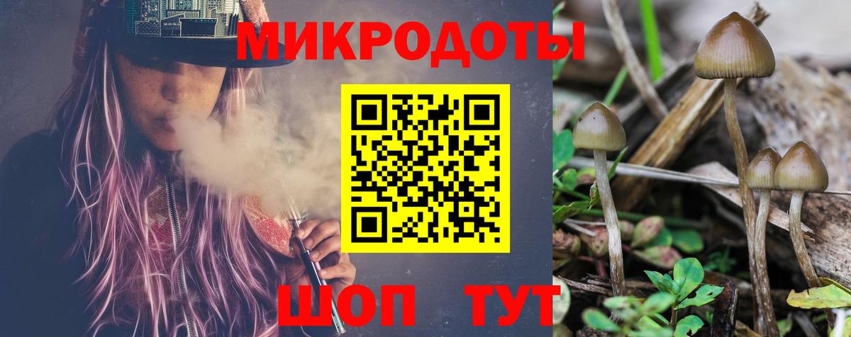 где продают наркотики  Вход с VPN  Галлюциногенные грибы Magic Shrooms  Новоалтайск  Псилоцибиновые грибы MAGIC MUSHROOMS 