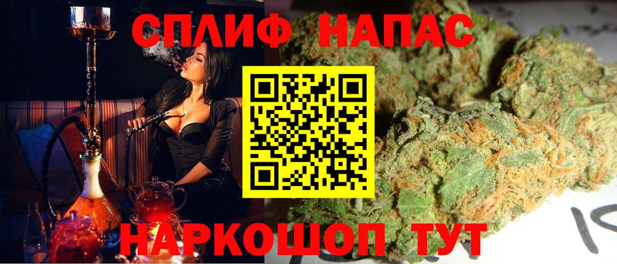 Конопля план Новоалтайск